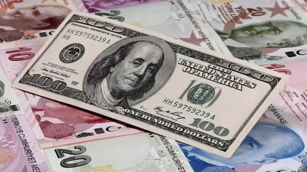 Dolar 2025'e Güçlü Bir Başlangıç Yaptı