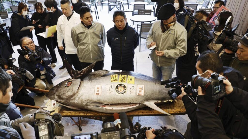 Japonya’da Mavi Yüzgeçli Orkinos 1,3 Milyon Dolara Satıldı